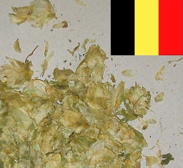 Houblons en cônes Saaz origine: Belgique 100g